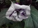 P101012_05.13_[06]