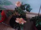 P071012_21.30_[04]
