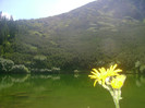 LACUL IEZERUL m-tii SUREANU