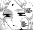 nishiki 22