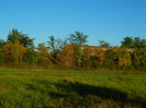 DSCN9442