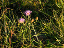 DSCN9462