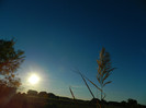 DSCN9474