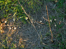 DSCN9508