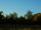 DSCN9509