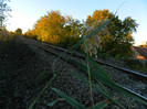 DSCN9518