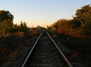 DSCN9528
