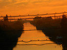 DSCN9541