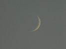 DSCN9555