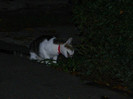 DSCN9605