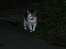 DSCN9607