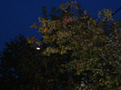 DSCN9626