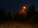 DSCN9636