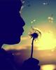 images (7)