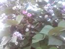P071012_07.46_[01]