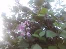 P071012_07.46_[02]
