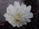 P101012_05.08_[01]