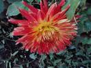 P101012_05.08_[03]