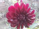 P101012_05.10_[02]