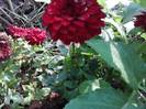 P101012_05.11_[01]