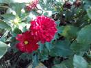 P101012_05.11_[02]
