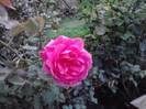 P121012_22.34_[01]