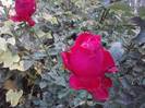 P121012_22.34_[02]