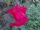 P121012_22.34_[03]