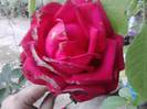P121012_22.34_[05]