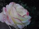P121012_22.35_[01]
