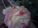 P121012_22.35_[02]