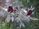 P121012_22.36_[03]