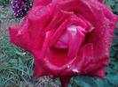 P121012_22.37_[02]
