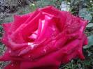 P121012_22.37_[03]