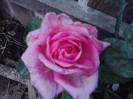 P121012_22.37_[04]
