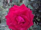 P121012_22.38_[01]