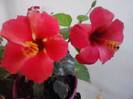 P141012_22.35_[02]