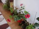 P141012_22.36_[01]