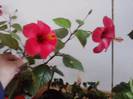P141012_22.36_[02]