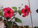 P141012_22.36_[03]
