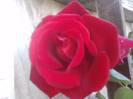 P141012_23.56_[05]
