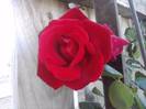 P141012_23.56_[06]