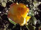 P141012_23.57_[01]