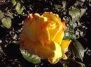 P141012_23.57_[02]