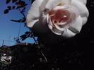 P141012_23.59_[01]