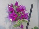 P141012_23.50_[02]