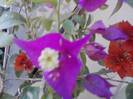 P141012_23.50_[03]
