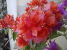 P141012_23.50_[04]