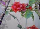 P141012_23.50_[05]