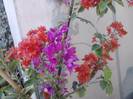 P141012_23.50_[06]